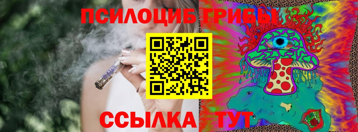 Соликамск  Псилоцибиновые грибы прущие грибы  Вход с VPN  Галлюциногенные грибы GOLDEN TEACHER 