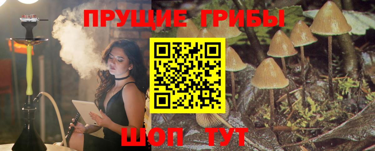 Галлюциногенные грибы мицелий Соликамск